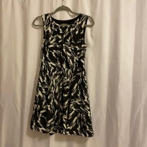 Express Dress Size 6
